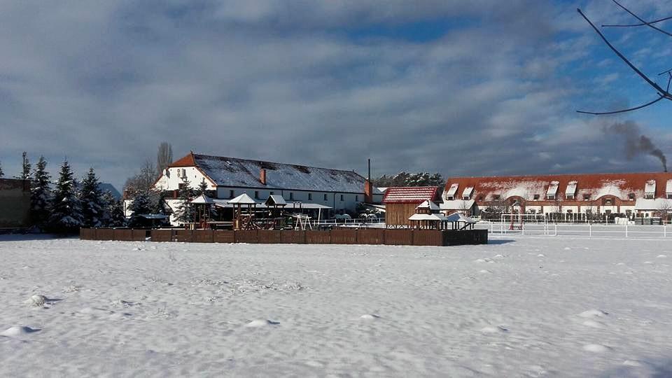 Hotel Stara Stajnia Pleszew Εξωτερικό φωτογραφία
