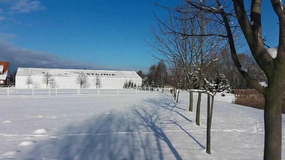 Hotel Stara Stajnia Pleszew Εξωτερικό φωτογραφία